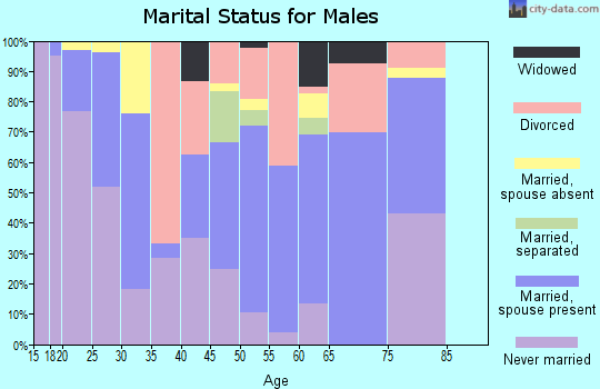 Zip code 32053 marital status for males