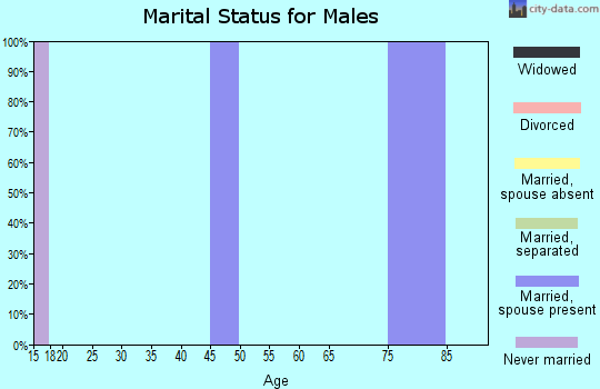 Zip code 32061 marital status for males