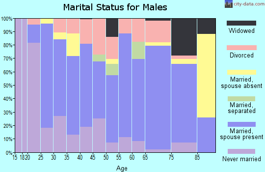 Zip code 32063 marital status for males