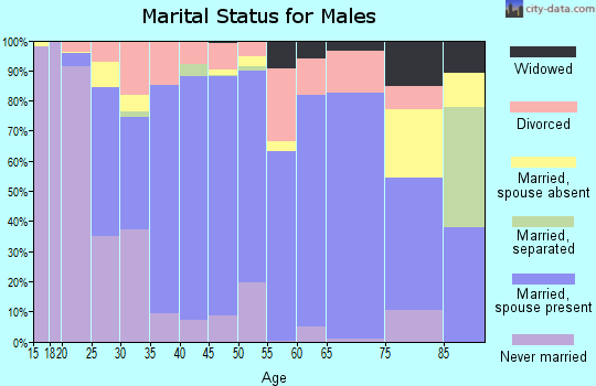 Zip code 32065 marital status for males