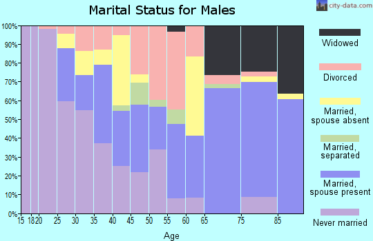 Zip code 32066 marital status for males