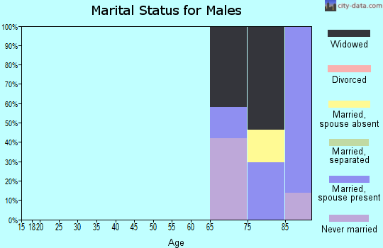Zip code 32079 marital status for males