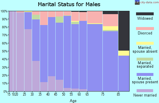Zip code 32082 marital status for males