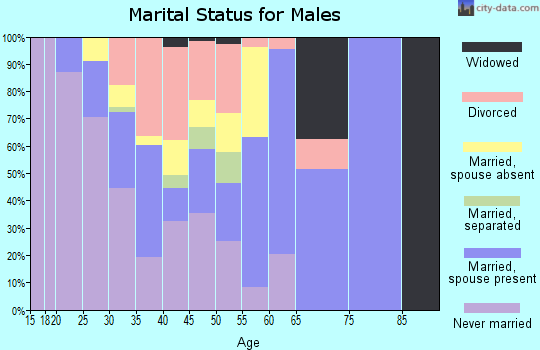 Zip code 32087 marital status for males