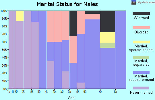 Zip code 32102 marital status for males