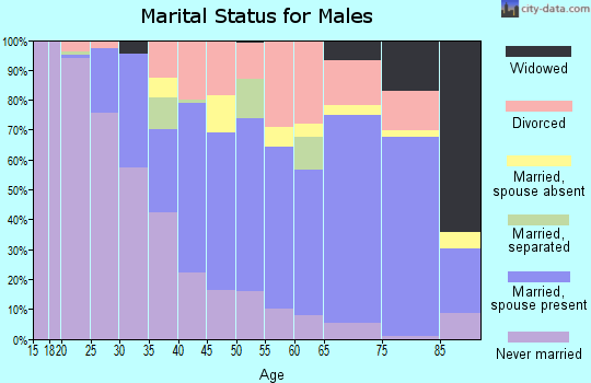 Zip code 32119 marital status for males