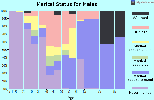 Zip code 32124 marital status for males