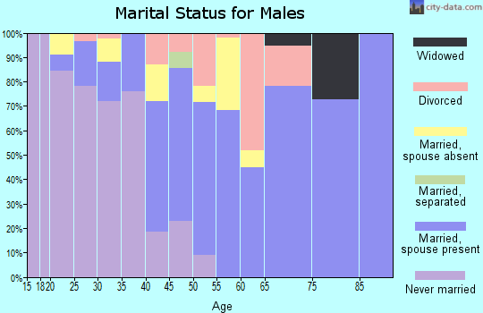 Zip code 32131 marital status for males