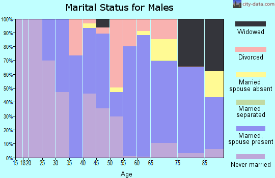 Zip code 32136 marital status for males