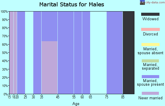 Zip code 32138 marital status for males
