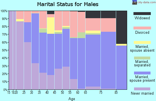Zip code 32168 marital status for males