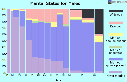 Zip code 32174 marital status for males