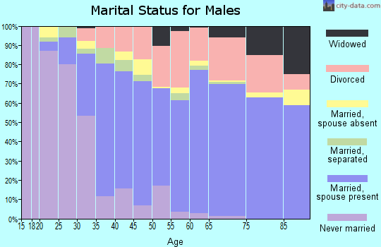 Zip code 32177 marital status for males
