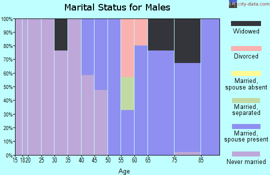 Zip code 32187 marital status for males