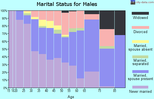 Zip code 32205 marital status for males