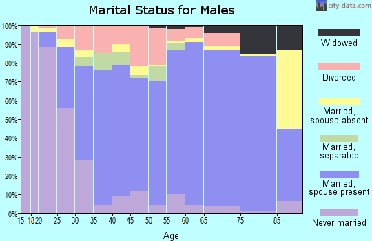 Zip code 32221 marital status for males