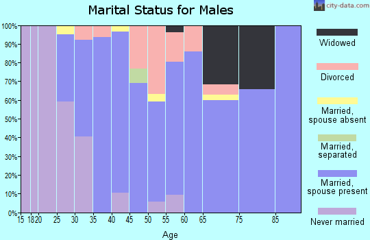 Zip code 32222 marital status for males