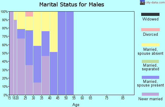 Zip code 32227 marital status for males