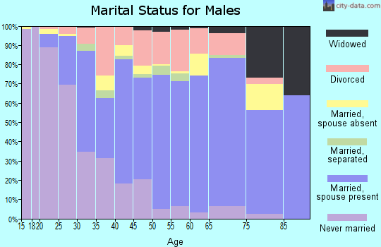 Zip code 32246 marital status for males