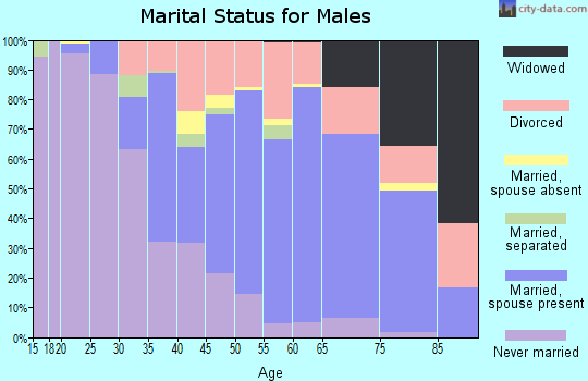 Zip code 32250 marital status for males
