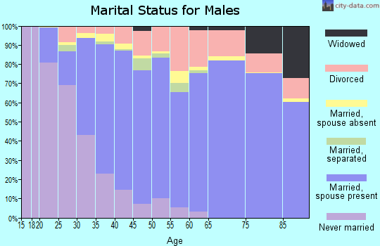 Zip code 32256 marital status for males