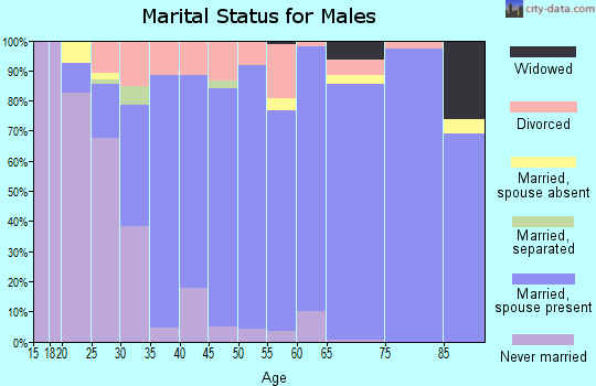 Zip code 32258 marital status for males