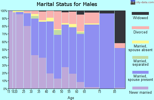 Zip code 32303 marital status for males