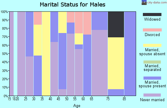Zip code 32330 marital status for males