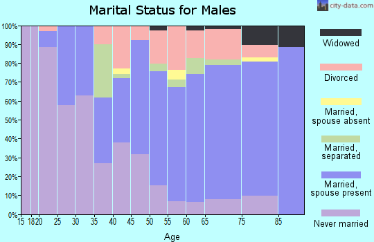Zip code 32333 marital status for males