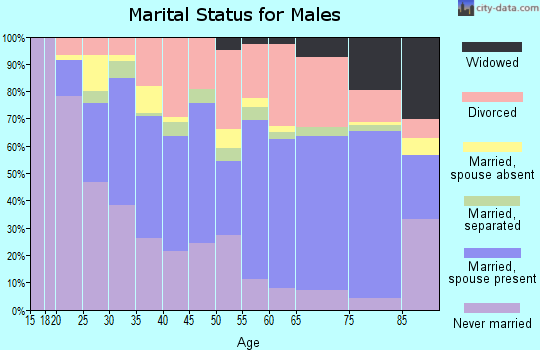 Zip code 32401 marital status for males