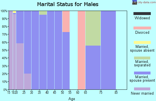 Zip code 32403 marital status for males