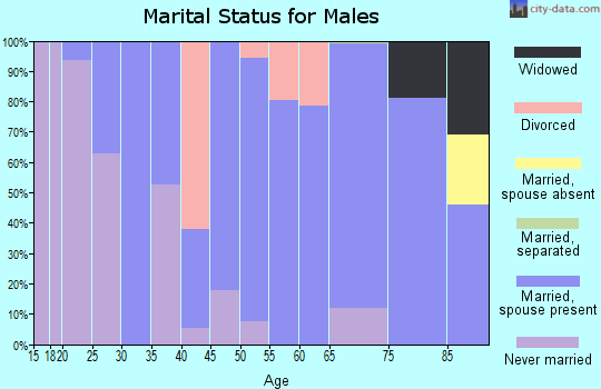 Zip code 32410 marital status for males