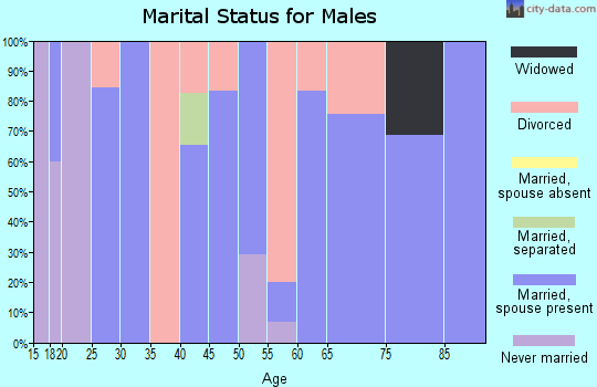 Zip code 32423 marital status for males