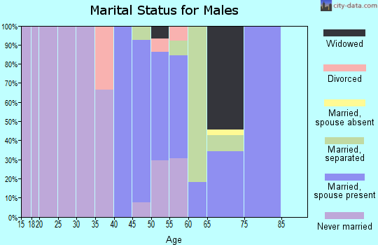 Zip code 32426 marital status for males