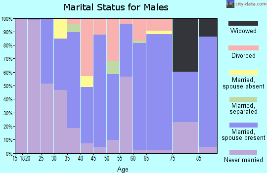 Zip code 32431 marital status for males