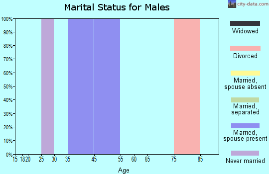 Zip code 32432 marital status for males