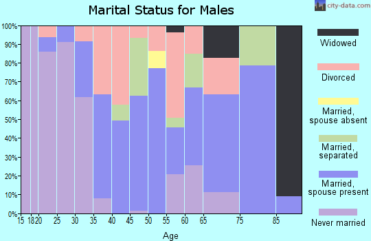 Zip code 32455 marital status for males