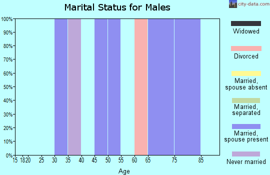 Zip code 32463 marital status for males