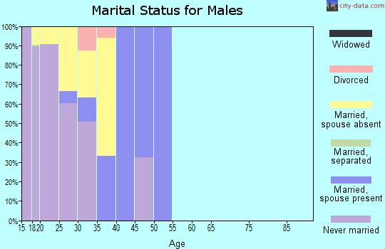 Zip code 32508 marital status for males