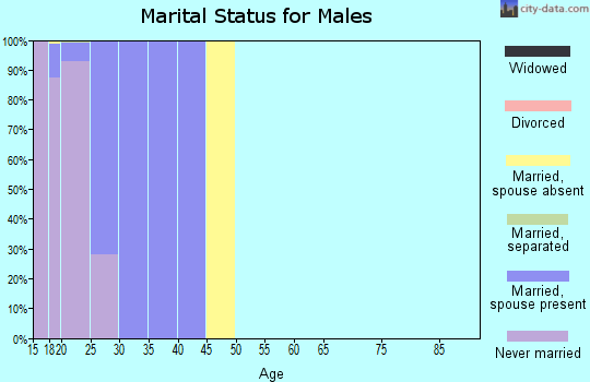 Zip code 32544 marital status for males