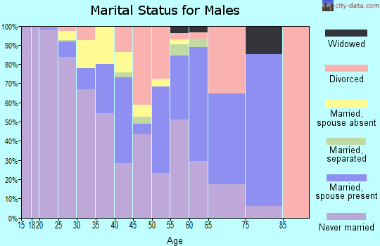 Zip code 32601 marital status for males