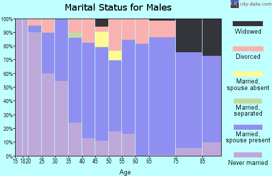 Zip code 32615 marital status for males