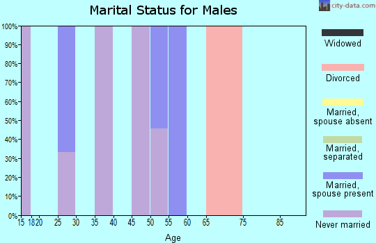 Zip code 32616 marital status for males