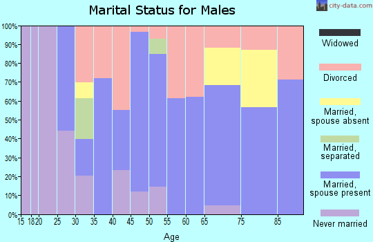 Zip code 32617 marital status for males
