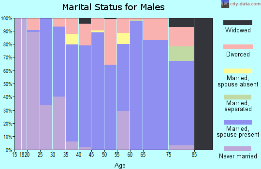 Zip code 32619 marital status for males