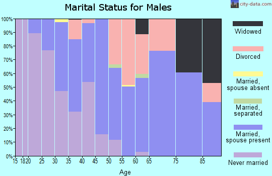 Zip code 32621 marital status for males