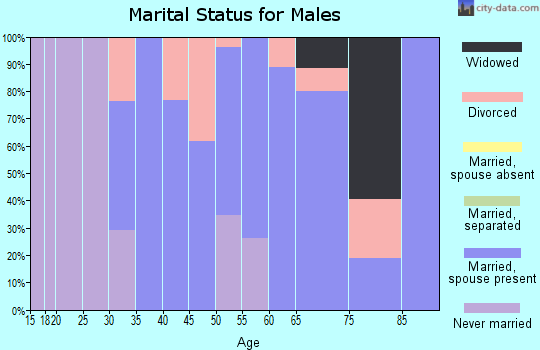 Zip code 32625 marital status for males