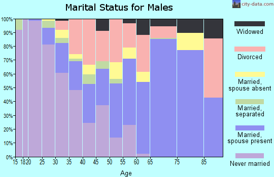 Zip code 32628 marital status for males
