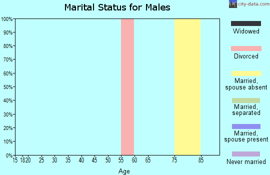 Zip code 32639 marital status for males