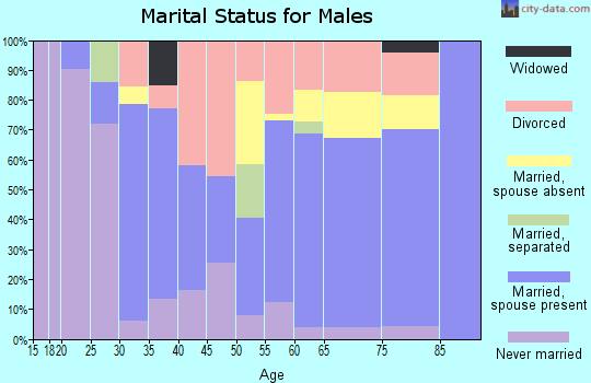 Zip code 32640 marital status for males